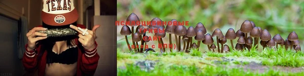 MESCALINE Инсар