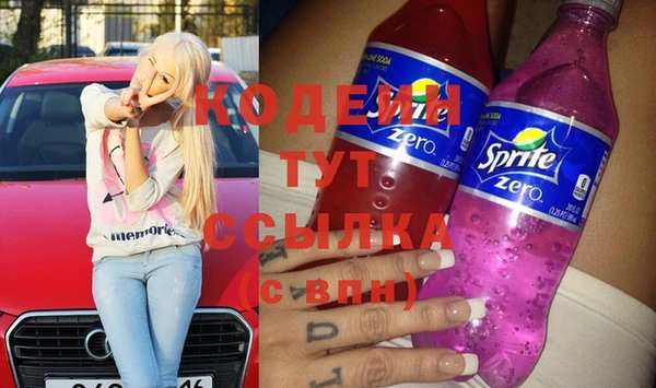 шишки Каменка