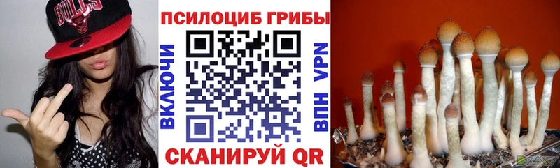 Псилоцибиновые грибы Cubensis  Купить закладки  Суоярви 